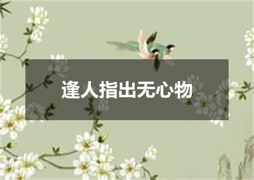 逢人指出无心物