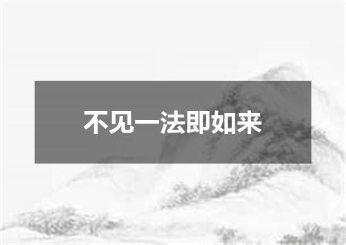 不见一法即如来