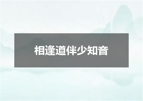 相逢道伴少知音