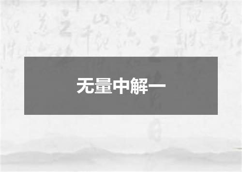 无量中解一