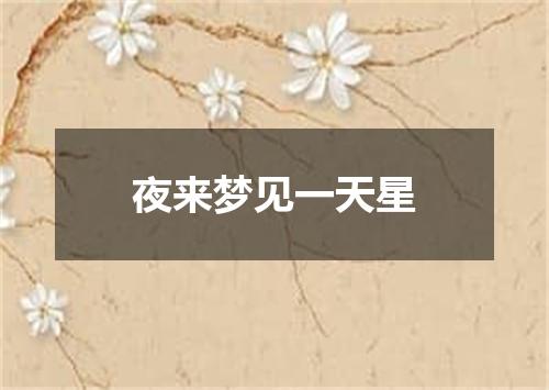夜来梦见一天星