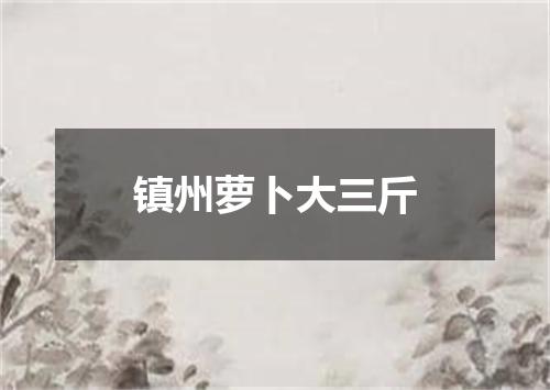 镇州萝卜大三斤
