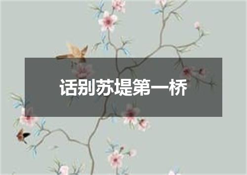 话别苏堤第一桥