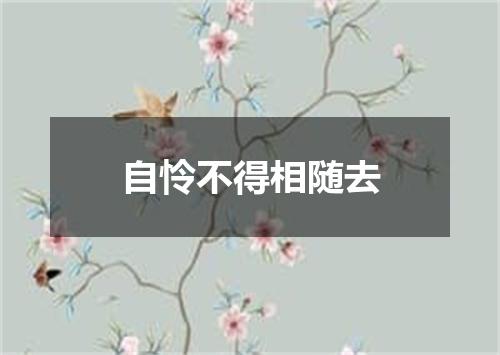 自怜不得相随去
