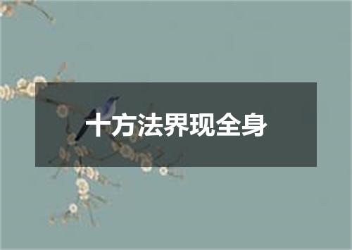 十方法界现全身