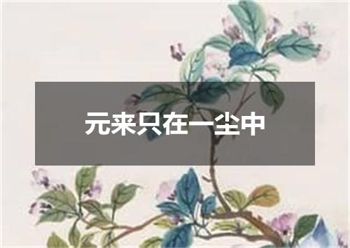 元来只在一尘中