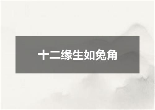 十二缘生如兔角