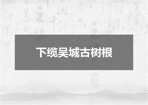 下缆吴城古树根