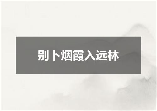 别卜烟霞入远林