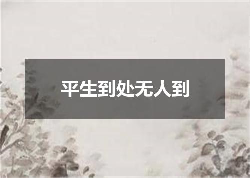 平生到处无人到