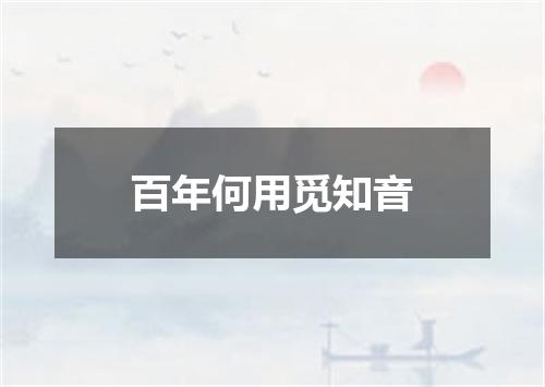 百年何用觅知音