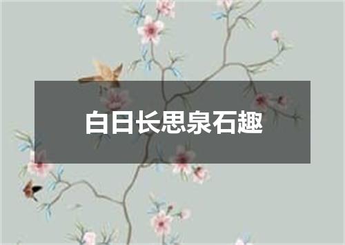 白日长思泉石趣