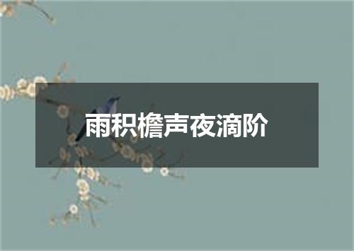 雨积檐声夜滴阶