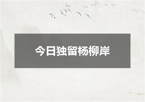 今日独留杨柳岸