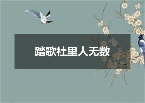 踏歌社里人无数