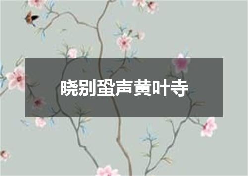 晓别蛩声黄叶寺