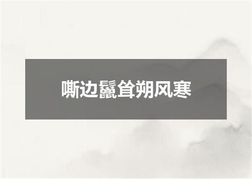 嘶边鬣耸朔风寒