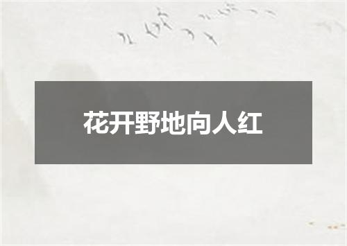 花开野地向人红