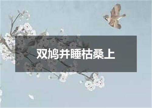 双鸠并睡枯桑上