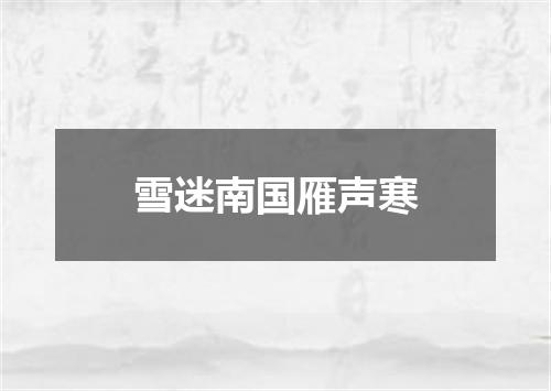 雪迷南国雁声寒
