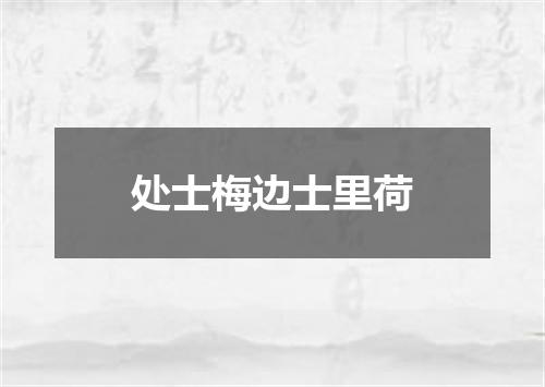 处士梅边士里荷
