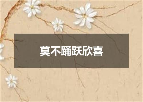 莫不踊跃欣喜