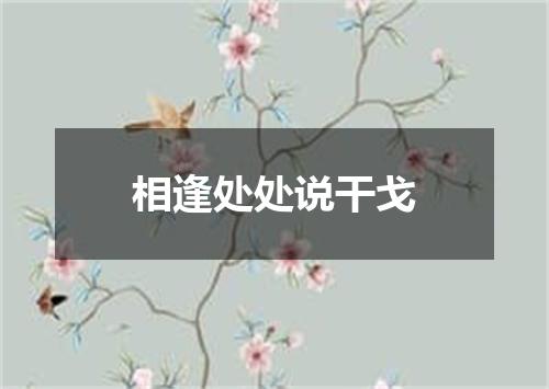 相逢处处说干戈