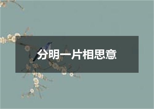 分明一片相思意