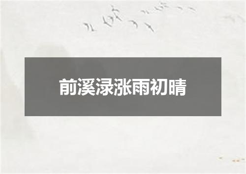 前溪渌涨雨初晴
