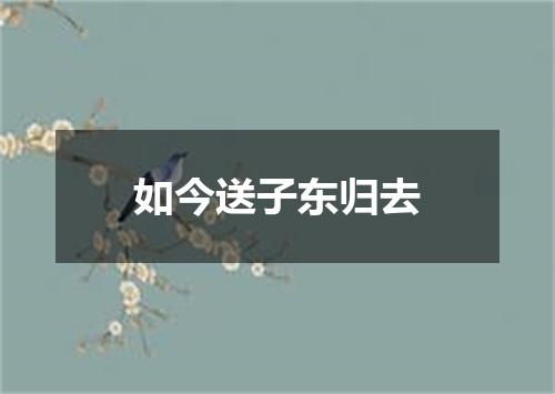 如今送子东归去