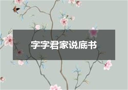 字字君家说底书