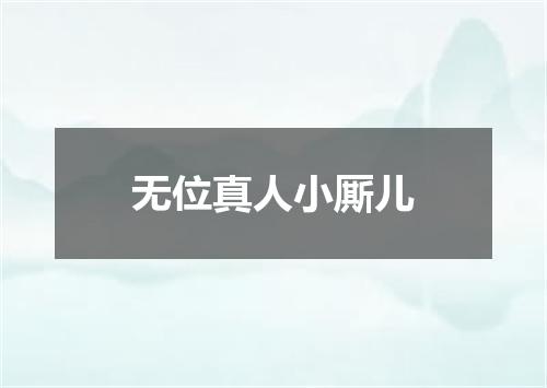 无位真人小厮儿