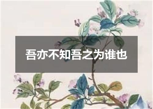 吾亦不知吾之为谁也