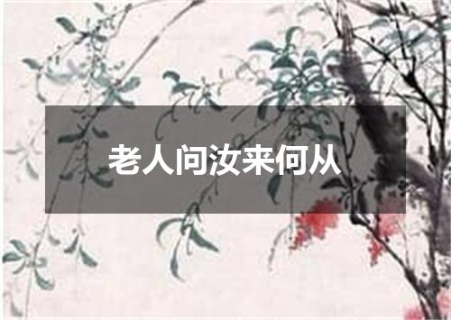 老人问汝来何从
