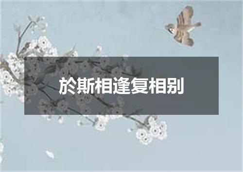 於斯相逢复相别