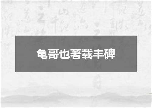 龟哥也著载丰碑