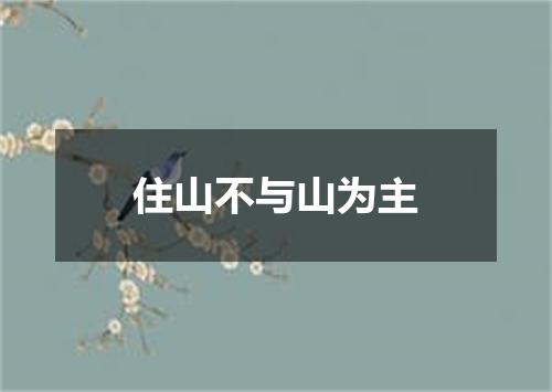住山不与山为主