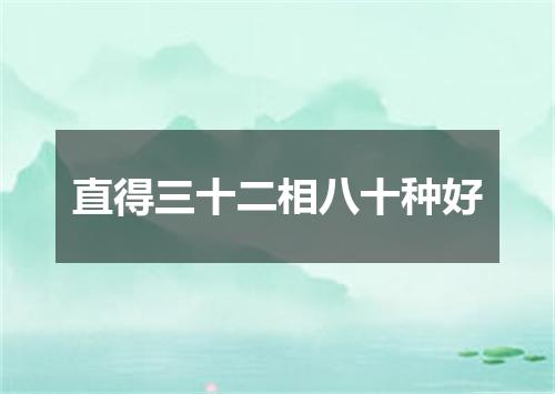 直得三十二相八十种好