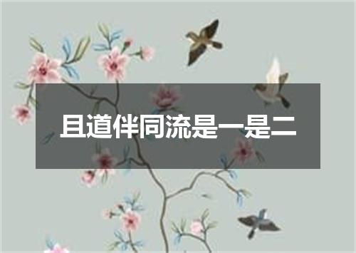 且道伴同流是一是二