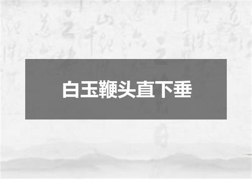 白玉鞭头直下垂