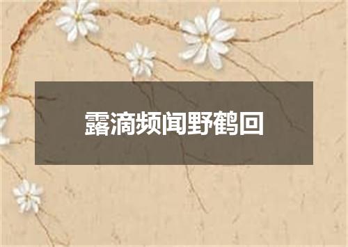 露滴频闻野鹤回