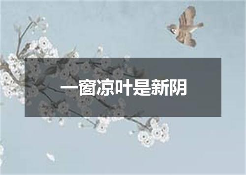 一窗凉叶是新阴