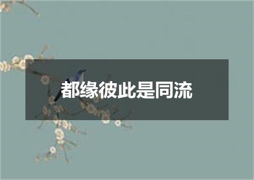 都缘彼此是同流