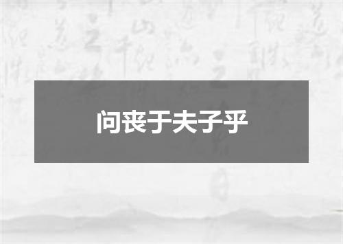 问丧于夫子乎