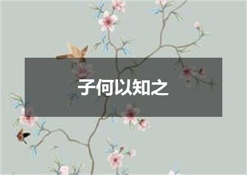 子何以知之