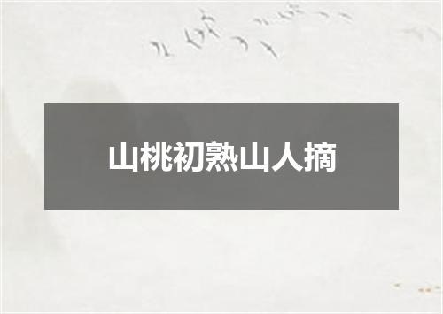 山桃初熟山人摘