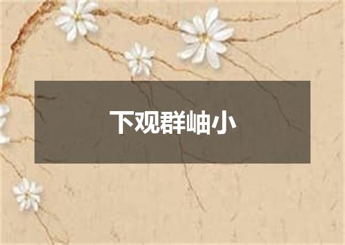 下观群岫小