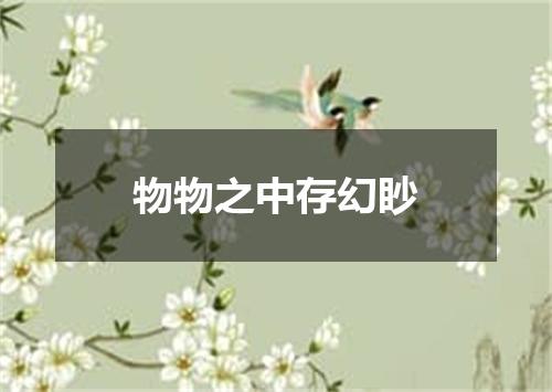 物物之中存幻眇