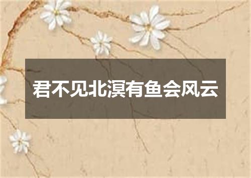君不见北溟有鱼会风云