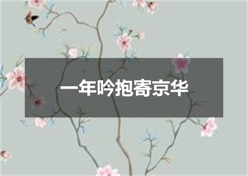 一年吟抱寄京华